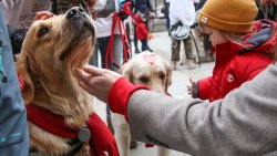 28. finał WOŚP w Olsztynie
