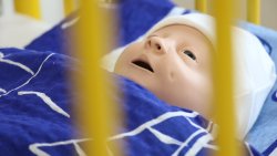 Centrum Dydaktyki i Symulacji Medycznej w Elblągu