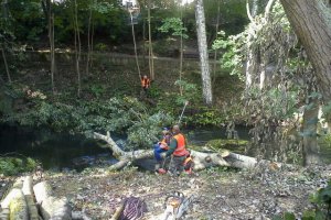  Robotnicy leśni zostali podpaleni?