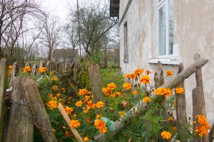 Konkurs „Wieś z inicjatywą