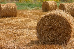 Ostróda szuka sposobu na obniżenie rachunków. Pomóc ma kocioł na biomasę