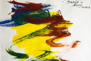  Wylicytowany na antenie Radia Olsztyn obraz namalowany przez delfiny trafił do rąk Jakuba Wachowskiego z Poznania