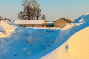 Śnieg to nie tylko zaspy i lepienie bałwana. Dlaczego jest ważny?