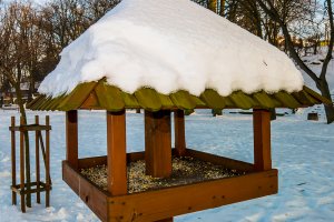  Elbląg nie zapomina o dokarmianiu zwierząt