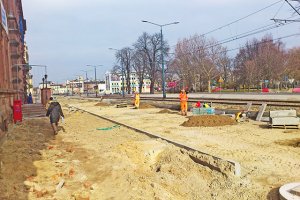  Droga 503 będzie bezpieczna dla żab