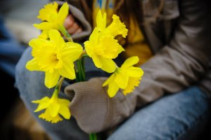 Sadzą cebulki kwiatów, które symbolizują nadzieję