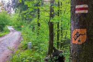 W wakacje warto przejść Szlak Kopernikowski. Liczy ponad 150 kilometrów