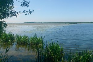 Poziom alarmowy wody na Żuławach. Gdzie jest najgorzej?