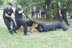 Tresura psów, konkursy i grochówka na festynie policyjnym w Pasłęku