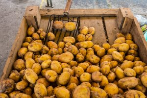 Bank Żywności w Piszu rozpoczyna 