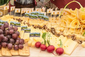 Serowa uczta w olsztyńskim Kortowie. Producenci z całego kraju prezentują swoje wyroby