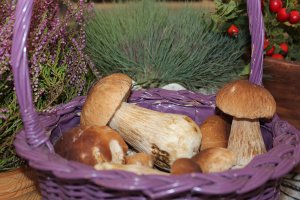  Biuro Podróży Radia Olsztyn w Wielbarku