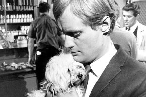 Dlaczego mi to robisz?