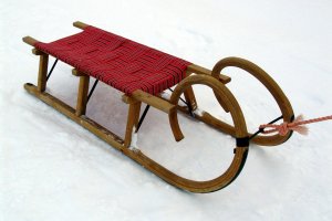 Centrum Edukacji Ekologicznej zorganizowało półkolonie