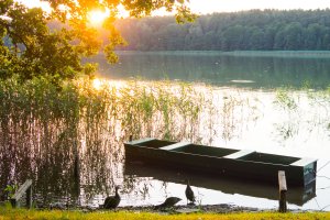 Zielone inwestycje na Warmii i Mazurach. Gminy z grantami na ekologiczne projekty