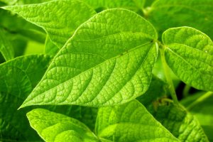 Ekologia! Eko... co?!? - więcej w Programie porannym we wtorek, po godz. 6. Zaprasza Michał Porycki