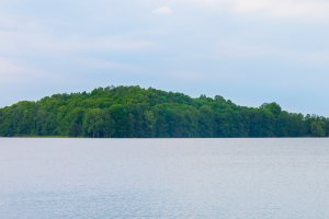 Legendarna wyspa Herta na Jeziorze Wulpińskim idzie pod młotek