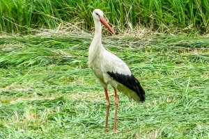 Bliższe Spotkania - 28.02.2024
