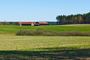 Są wstępne wyniki spisu rolnego. W ciągu 10 lat spadła liczba gospodarstw