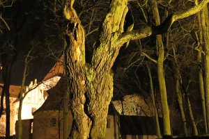 Nidzica Ferdynanda Gregoroviusa