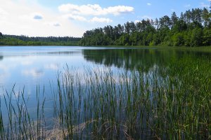 Bliższe Spotkania – 31.05.2021