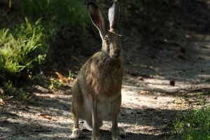  Trzeci tydzień sierpnia