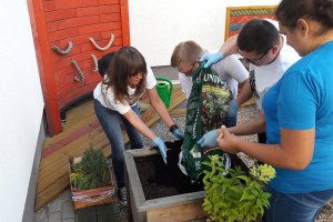 Ruszyła terapia ogrodowa dla niepełnosprawnych FILM