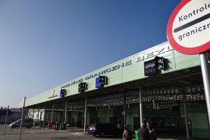 Czira na tropie kontrabandy. Pies wykrył przemyt nielegalnych papierosów