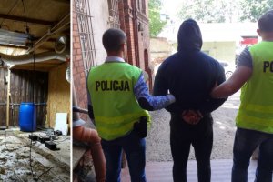 Policja zlikwidowała plantację marihuany koło Olsztynka. Zatrzymano trzy osoby