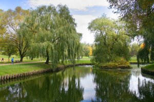 Olsztyn inwestuje w retencję i rekreację. Powstaną nowe zbiorniki i zielone przestrzenie