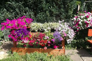 Łukwałd niedaleko Dywit po raz drugi z rzędu wygrał gminny konkurs „Czysta wieś