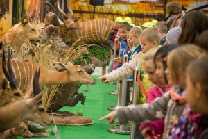 Święto myśliwych w Ostródzie. Za nami targi Hubertus Arena