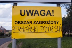 Pierwsze ognisko ASF w regionie w tym roku