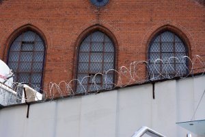 Psy ze schroniska zamieszkają z więźniami. Program ma pomóc ludziom i zwierzętom