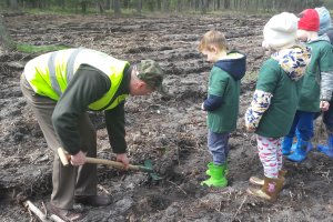 Każdy może posadzić drzewo. Nadleśnictwo Ełk zaprasza do wspólnej pracy