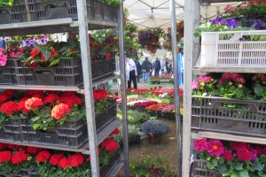 Bliższe Spotkania - 21.04.2022