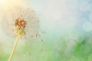 Bliższe Spotkania - 25.05.2021