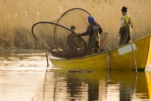 Czy sieci rybackie znikną z mazurskich jezior? Pięć akwenów ma zostać wyłączonych z komercyjnych odłowów ryb