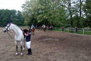 Nauka jazdy konnej w audycji Dziecinada