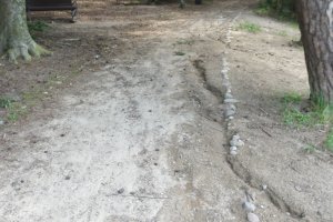 Zamieszanie wokół ścieżki rekreacyjnej nad jeziorem Długim. Na wiosnę zamienia się w błoto