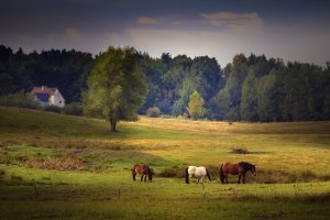 Zyskają obszary wiejskie. 