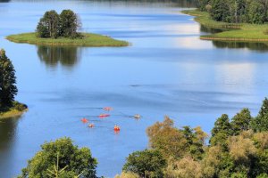 Neutralność klimatyczna 2050. Jak skorzysta z niej nasze województwo?