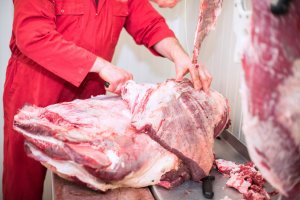 Rzeźnie rolnicze to szansa na dodatkowy zarobek. Dziś wchodzą w życie przepisy ułatwiające ubój zwierząt gospodarskich