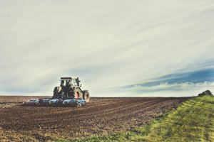 Do 8 czerwca rolnicy starający się o dopłaty bezpośrednie lub obszarowe mogą złożyć oświadczenie