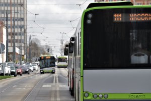 Światowy Dzień bez Samochodu. ZDZiT zachęca do korzystania z komunikacji zbiorowej
