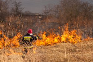 Duża liczba pożarów traw w maju. 