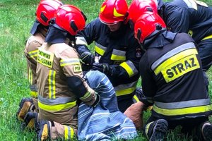 Uratowali sarnę, która utkwiła między elementami ogrodzenia. Akcję przeprowadził Eko Patrol i strażacy z Elbląga