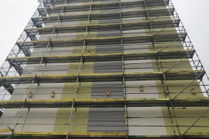 Ponad 150 budek dla ptaków pojawi się na remontowanych wieżowcach w Elblągu. Akcję nadzorują ornitolodzy