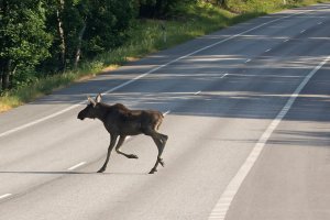 Śmiertelny wypadek między Ostródą a Lubawą. Utrudnienia na trasach regionu