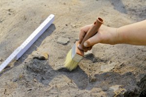 Archeolodzy szukają cmentarzyska Wikingów. Prace koło Elbląga poprzedziły badania georadarem